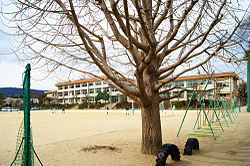 熊本市立花園小学校