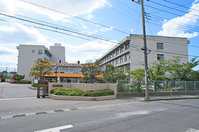 千葉県立松戸向陽高等学校