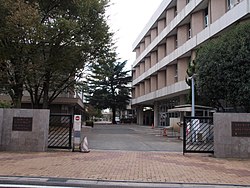 桐朋学園大学